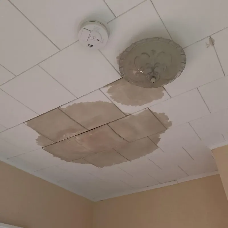 Ceiling Water Damage Repair in Colon, MI
