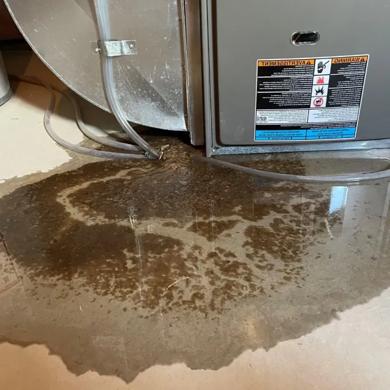 Pipe Burst and Leak Restoration in Colon, MI