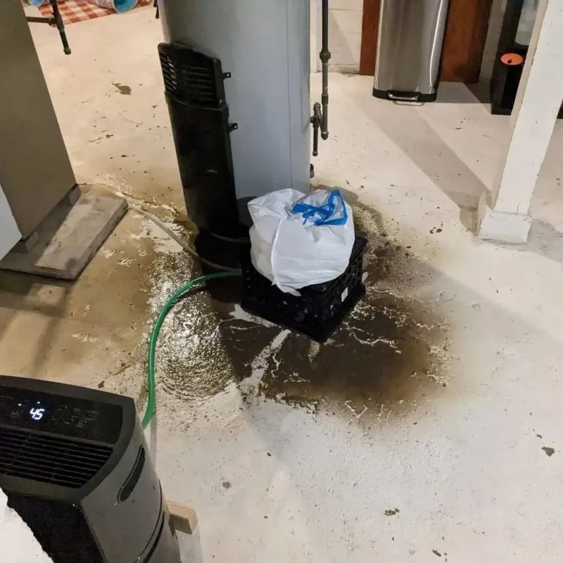 Sewage Backup Cleanup Service in Colon, MI